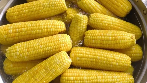 Boil corns Video stock 342508790