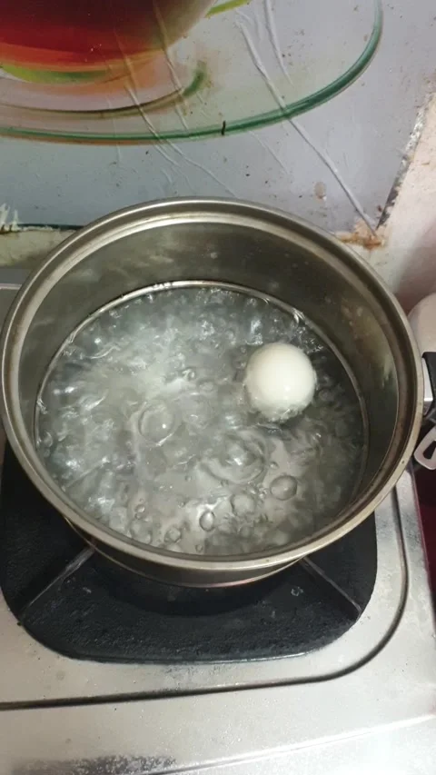 Boil An Egg Vídeos de archivo 220317913