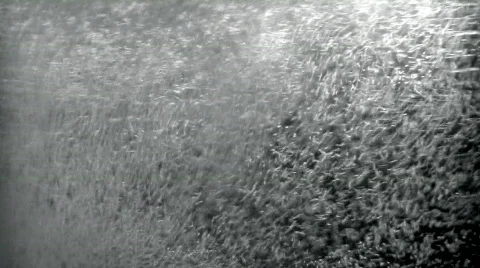 Boil Stock Footage 290039