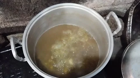 Boil green beans Stock Footage 219199085