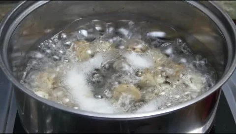 Boil quail eggs in a pan with boiling water Stock Footage 312095610