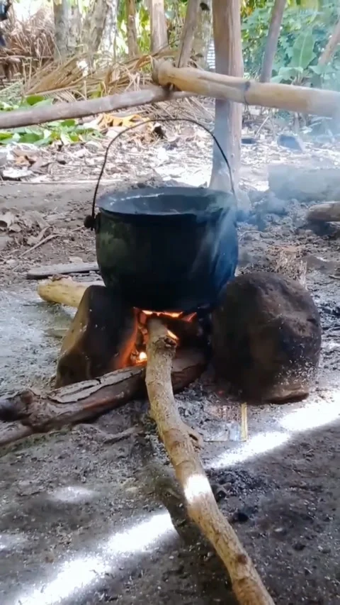 Boil water Stock Footage 236336783