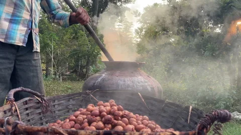 Boiled areca nut kernels placed in bamboo basket to drain Video stock 297342822