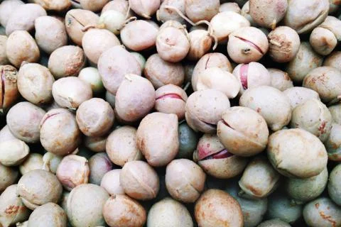 Boiled Bambara Groundnut Stock Photos