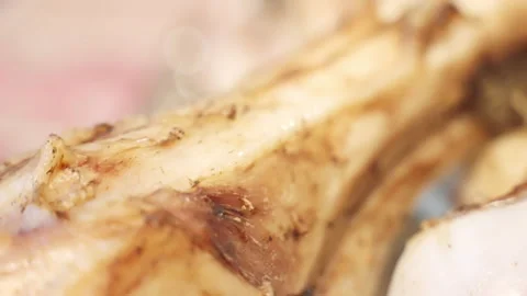 Boiled beef bones rich on natural collagen, regeneration properties for human Stock Footage 345147723