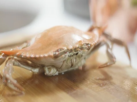 Boiled blue crab turned red on a cutting board Stock Footage 81690132