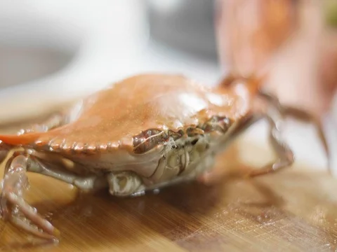 Boiled Blue Crab turned red on a cutting board Stock Footage 81705417