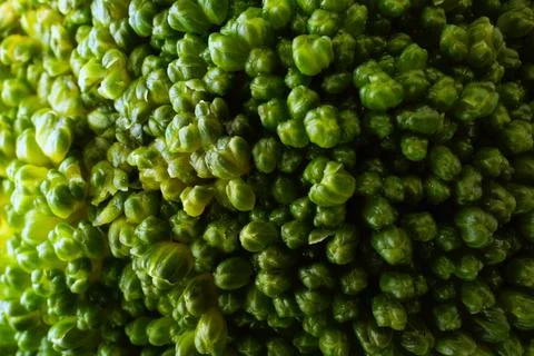 Boiled broccoli close up. Stockfoto's