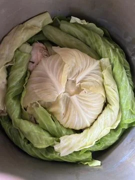 Boiled Cabbage Leaves for Stuffed Cabbage Stock Photos