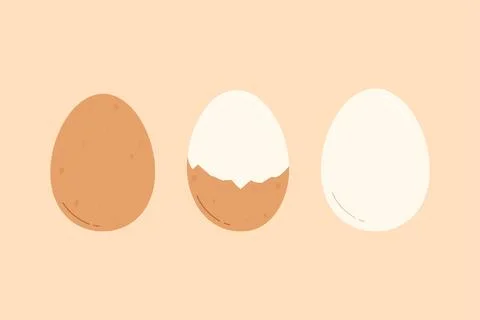 Boiled chicken egg. Flat vector illustration Illustrazione stock