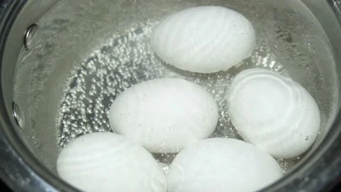 Boiled chicken egg. Stock Footage 171277735