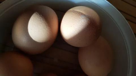 Boiled chicken eggs with brown eggshell in sunlight and shadows Foto stock