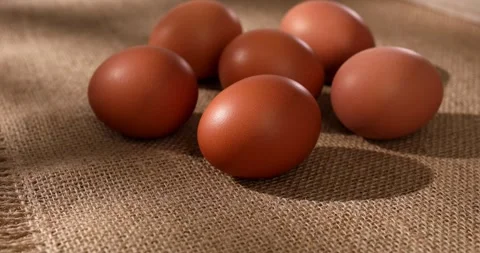Boiled chicken eggs on burlap. group of fresh eggs. farm product closeup. Stock Footage 242491470