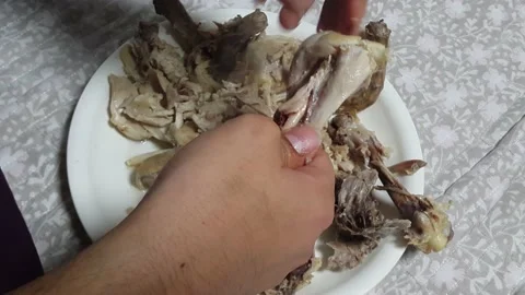 Boiled chicken meat, a man separates chicken meat from bones. Stock Footage 145338184