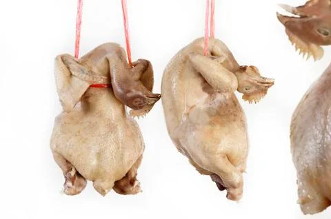 Boiled chicken Stock Photos