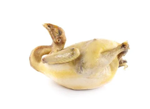 Boiled chicken on a white background. Stock Photos