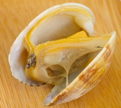 Boiled clam Photos