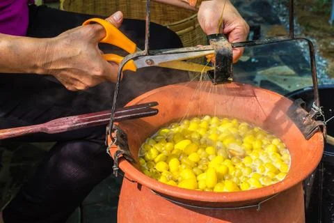 Boiled cocoons Stock Photos