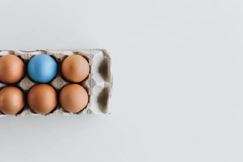 Boiled colored eggs brown one blue tray Stock Photos