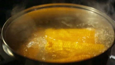 Boiled Cook Vídeos de archivo 81998367