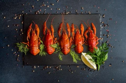 Boiled cooked crayfish crawfish ready to eat on black background. Copy space. Stock Photos