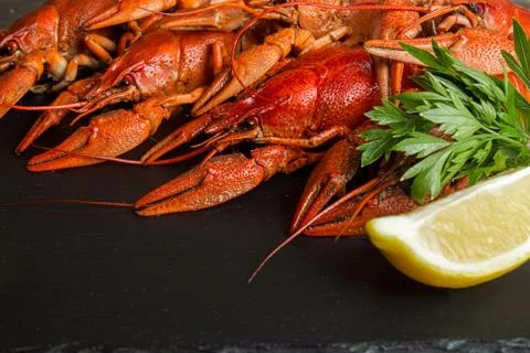 Boiled cooked crayfish crawfish ready to eat on black background. Copy space. Stock Photos