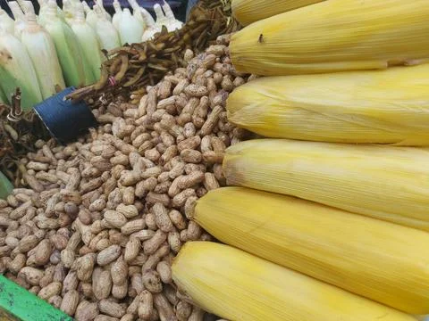 Boiled corn and some beans Foto stock