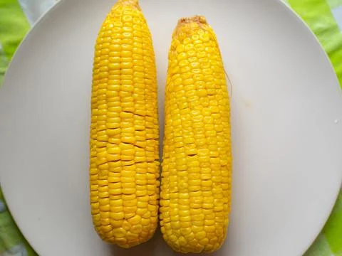 Boiled corn is an appetizing pod on a white plate on a green table. Stock Photos