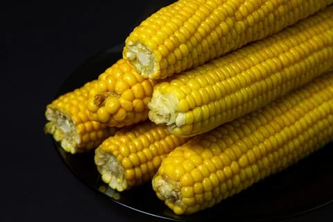 Boiled corn on a black background. Delicious sweet corn.  Stock Photos