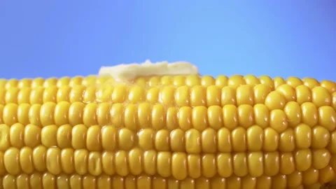 Boiled corn with butter on blue background. Healthy food concept. Stock Footage 138139874