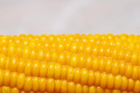 Boiled corn with butter close-up, background, texture. Stock Photos