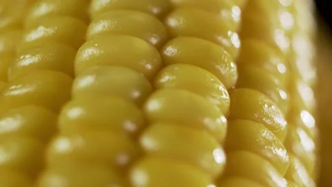 Boiled corn with butter, macro shot. Healthy food concept. Stock Footage 137758348