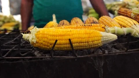 Boiled Corn Close up Detail Video stock 69089163