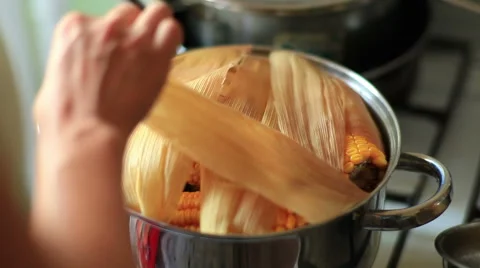 Boiled Corn Cob Stock Footage 41333095