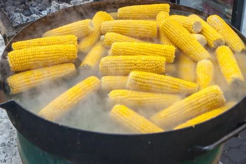 Boiled corn on the cob Stock Photos