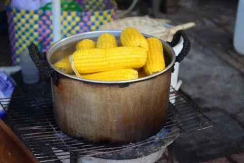Boiled Corn on the Cob Foto stock