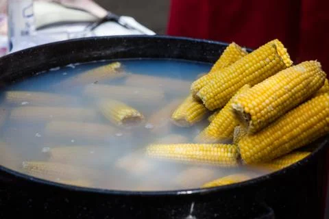 Boiled corn cobs Stock Photos