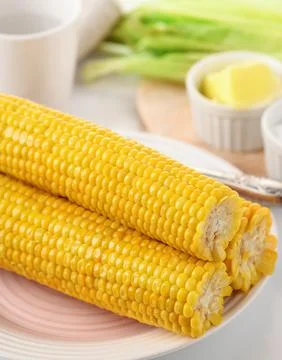 Boiled corn cobs Stock Photos