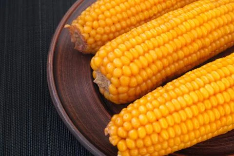 Boiled corn cobs on a plate Stock Photos