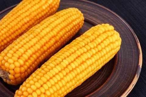 Boiled corn cobs on a plate Stock Photos