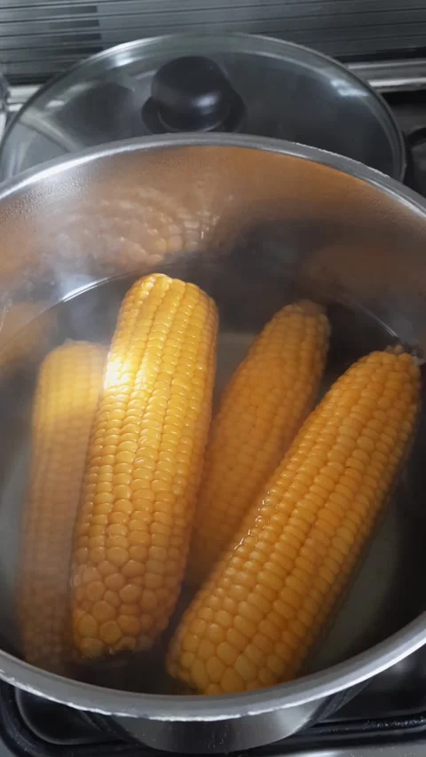 Boiled corn. Cooking vegetables. Stock Footage 236589966