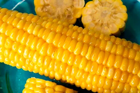 Boiled corn on deep blue plate Stock Photos