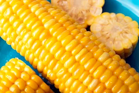 Boiled corn on deep blue plate Stock Photos