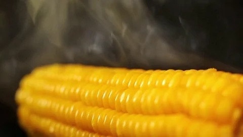 Boiled corn Stock Footage 82015839