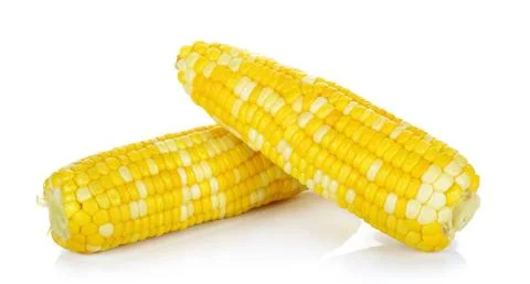 Boiled corn isolated on the white background Stock Photos