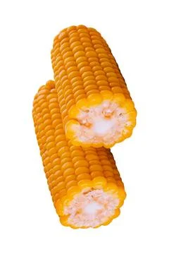 Boiled corn isolated on white background Stock Photos