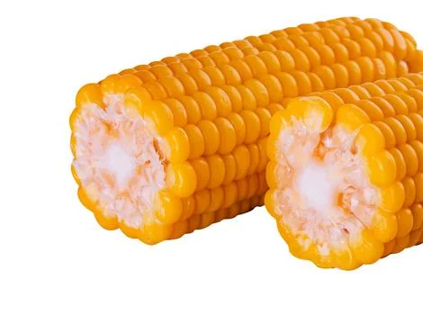 Boiled corn isolated on white background Stock Photos