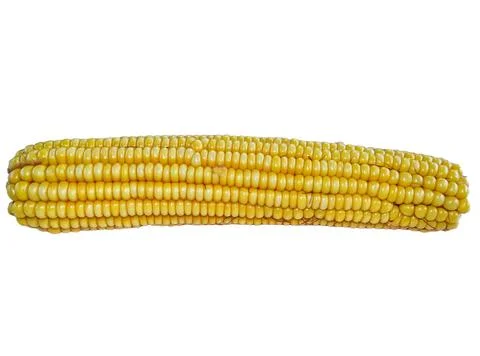 Boiled corn isolated on white background Фото