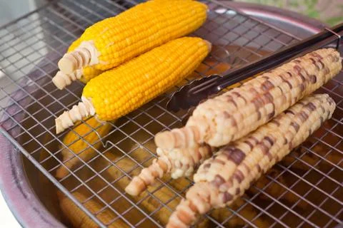 Boiled corn on the lattice Stock Photos