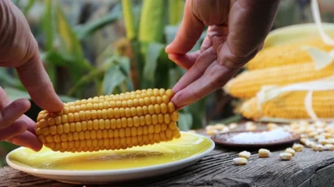 Boiled corn in nature. Close-up. Видео 221028915